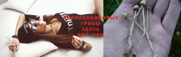 кокс Балабаново